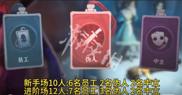 网2
