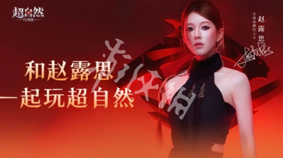 网4